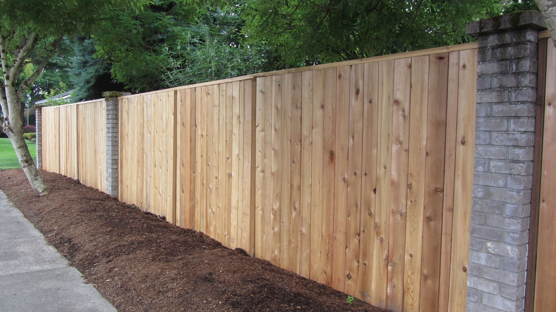 cedar fencing