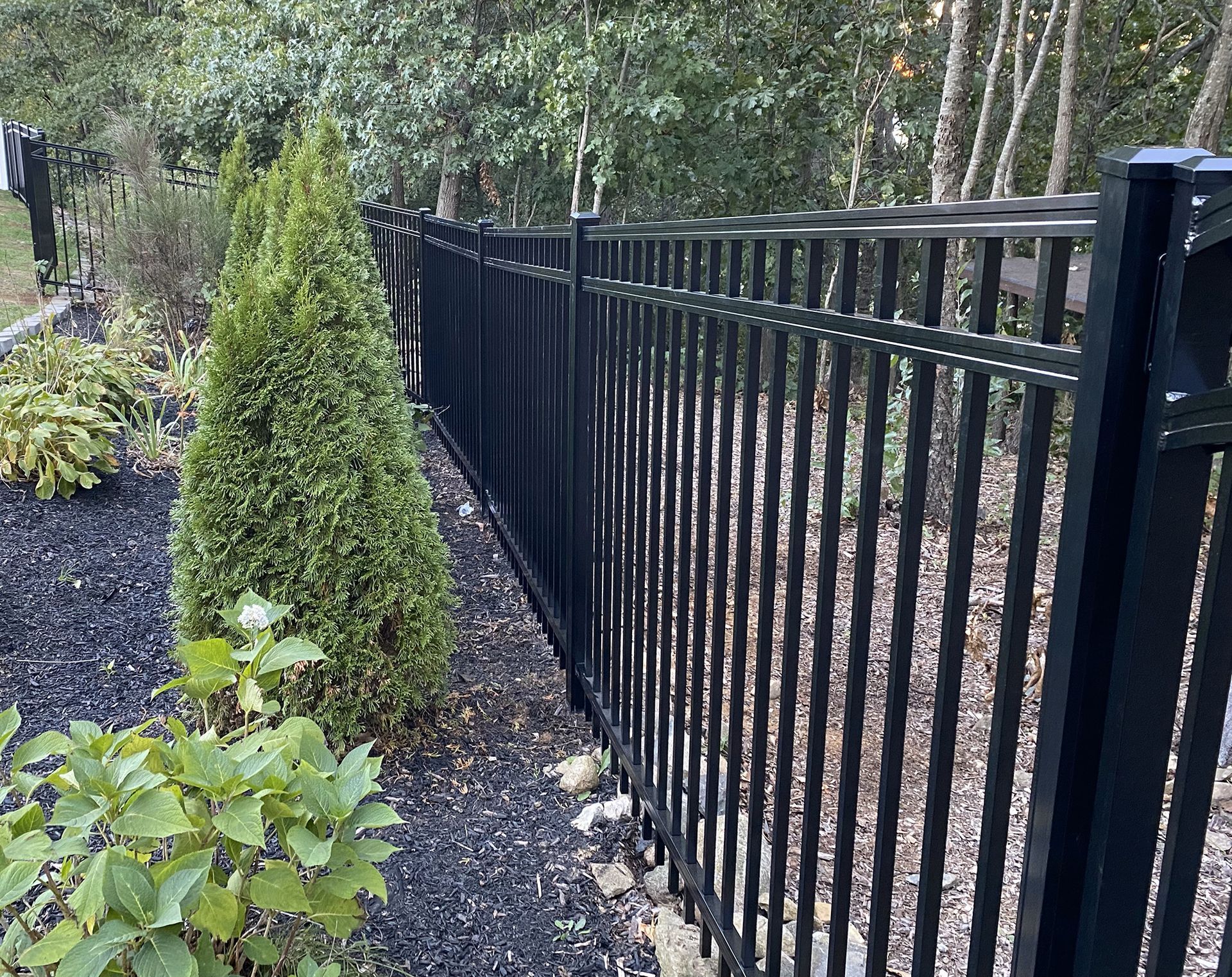 A black metal fence surrounds a garden with trees and bushes.