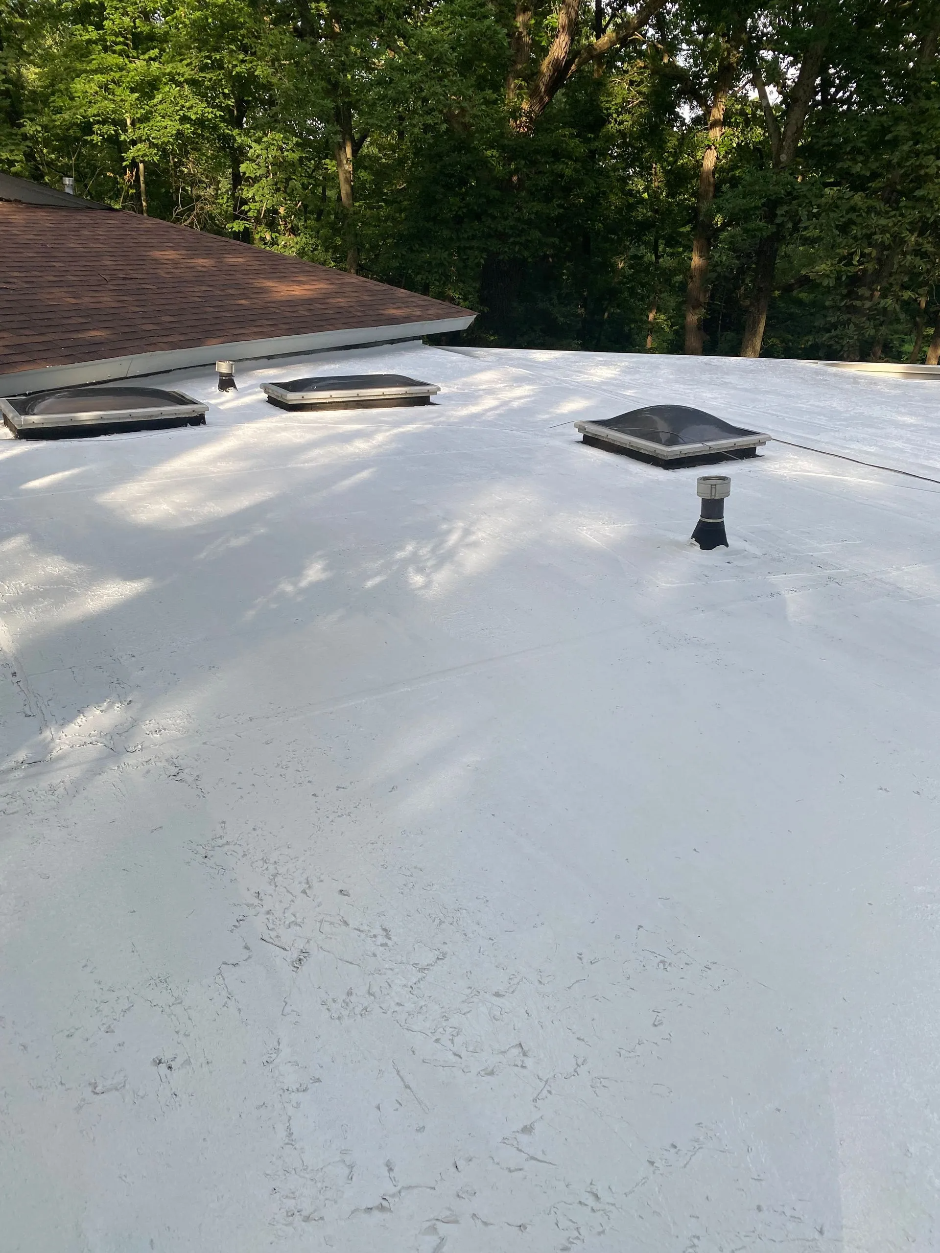 White flat roof with three skylights and vent pipes, surrounded by trees.