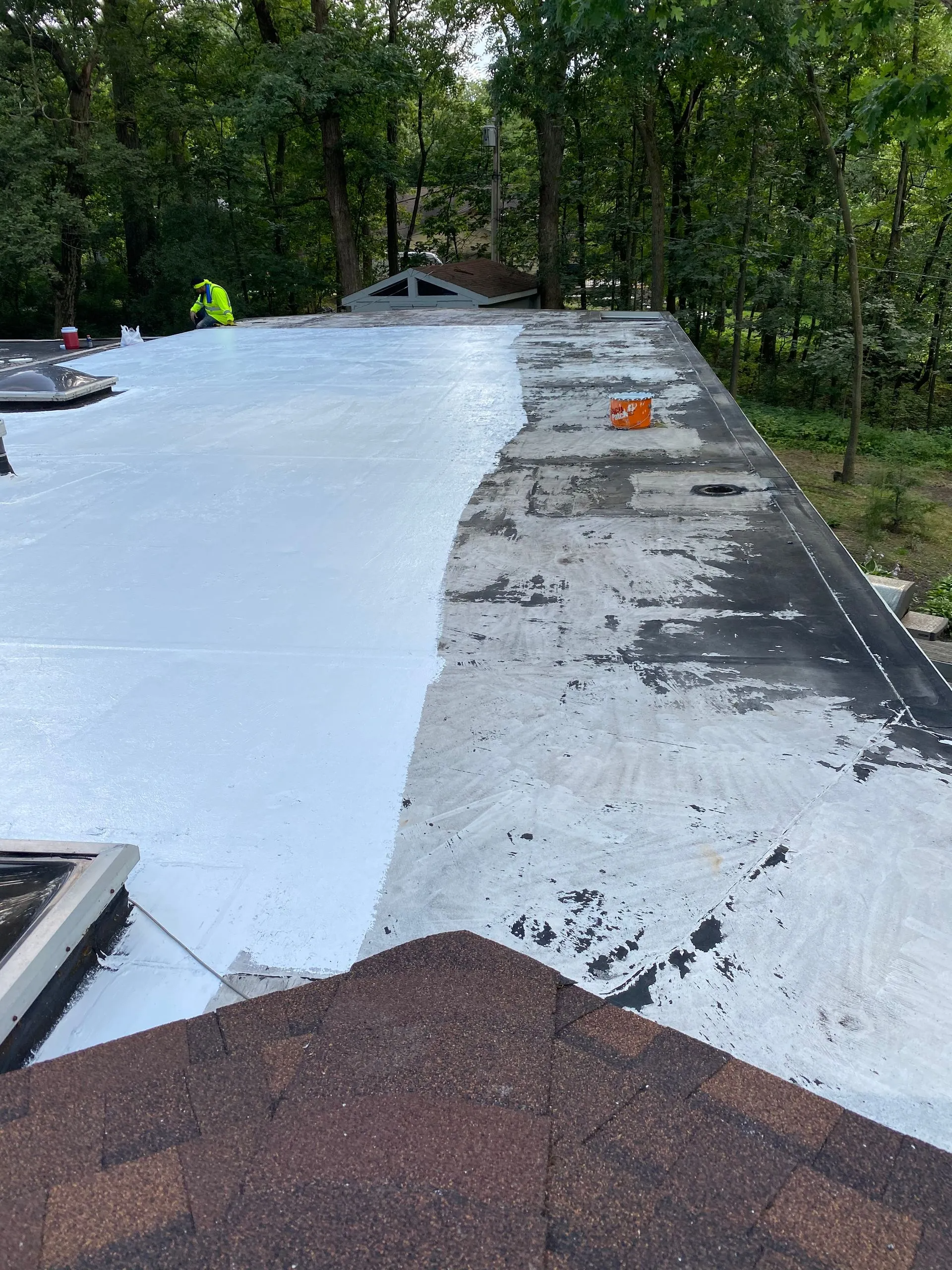 Flat roof partially coated with white sealant, another section shows old black surface. Trees in background.