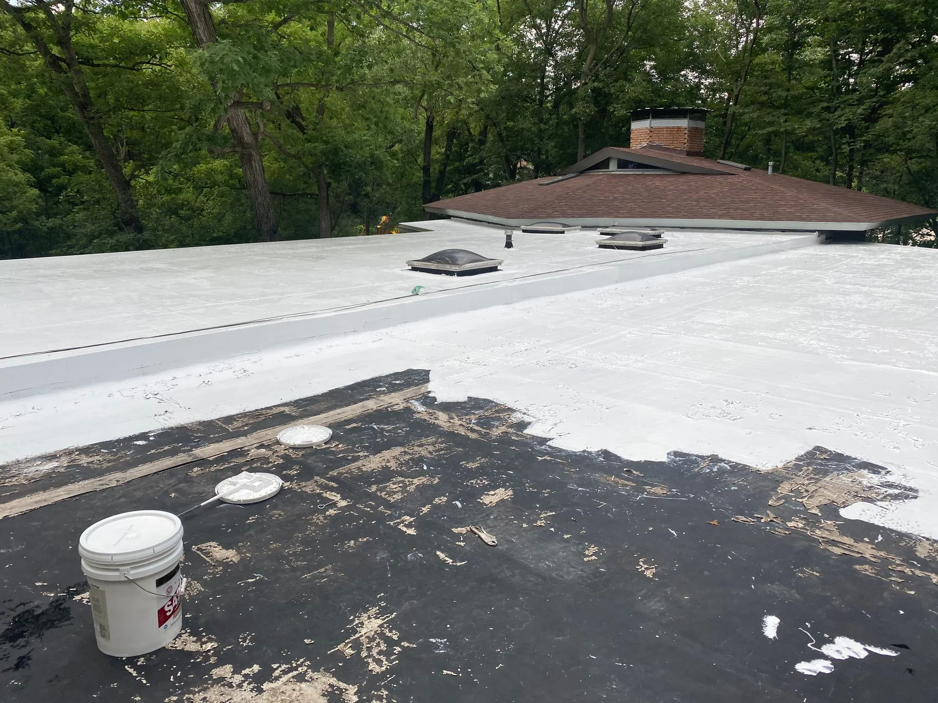 A partially painted flat roof with a bucket of white coating; trees in the background.