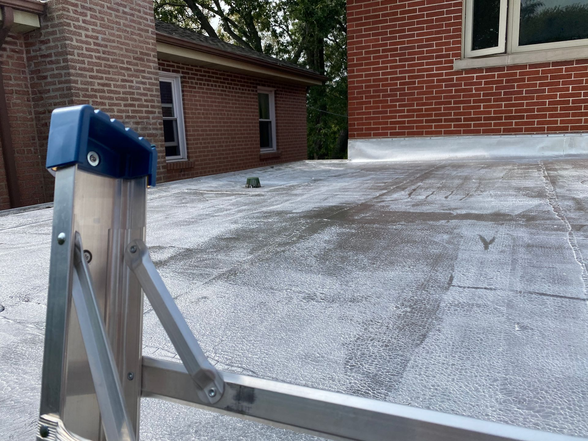 Ladder on a flat roof with brick buildings in the background.