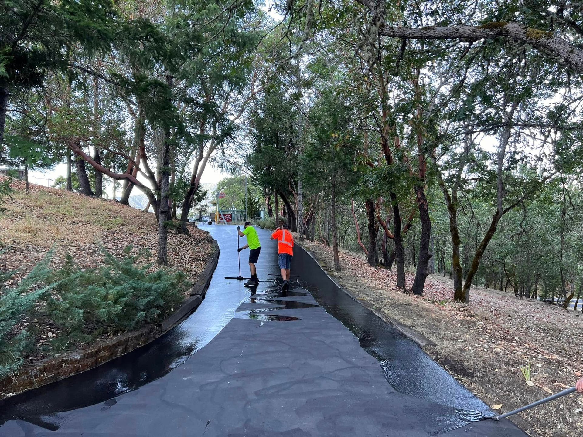A couple of people are walking down a path in the woods.
