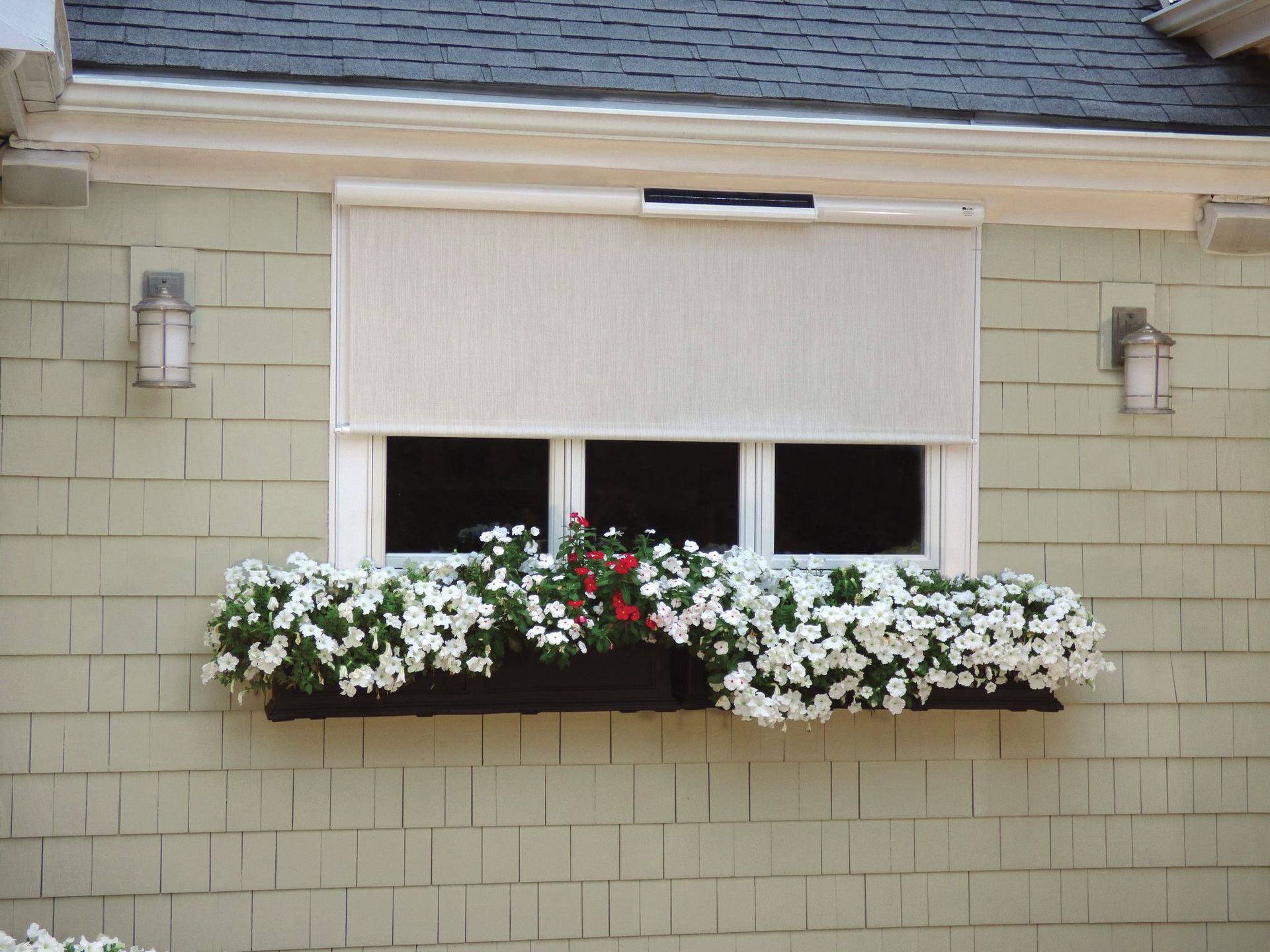 Window with a white sunshade, flower box with white petunias, and wall-mounted lights on a light green shingled building.