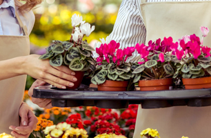 Lawn, garden, and turf supplies