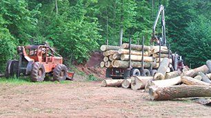 Logging