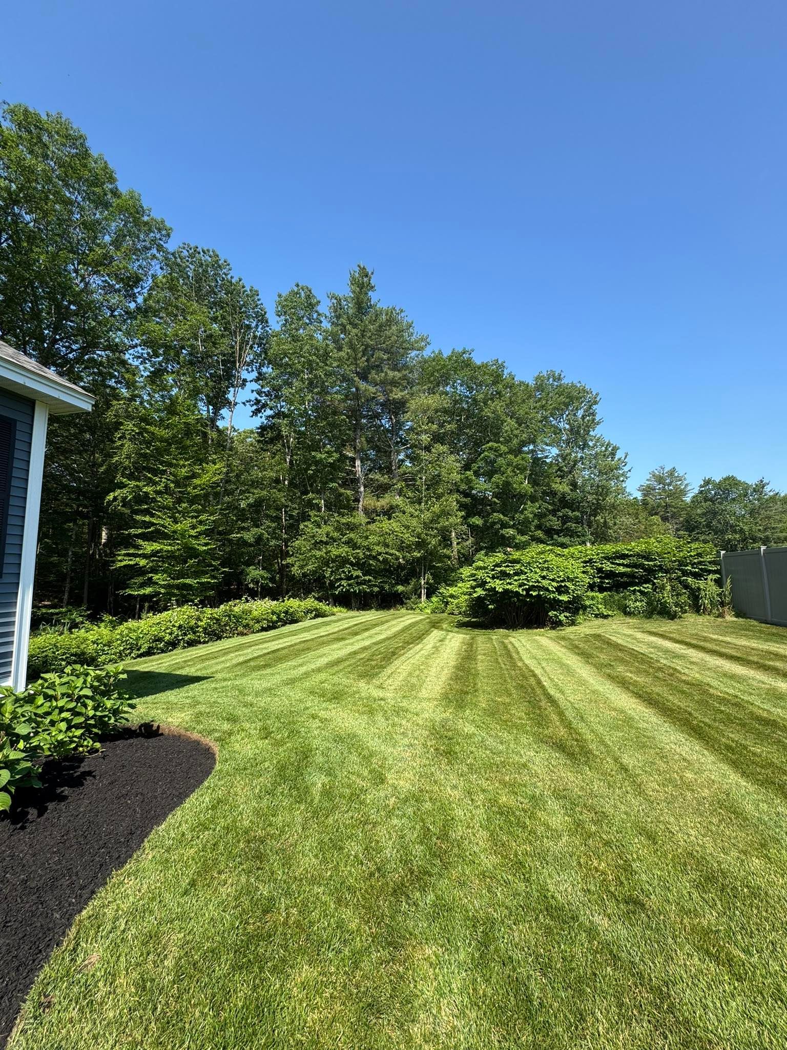 Freshly mown lawn with striped pattern, blue sky, trees in background, and a blue house.