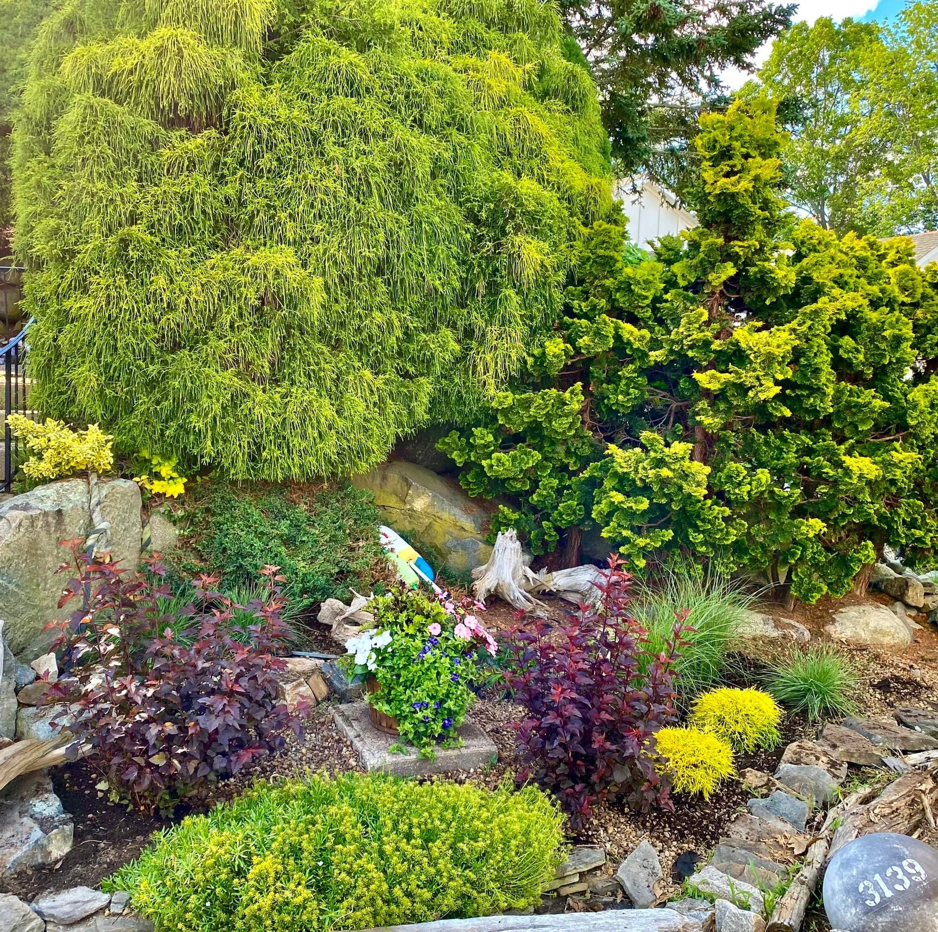 Colorful garden bed with diverse plants, rocks, and a large, cascading green bush.