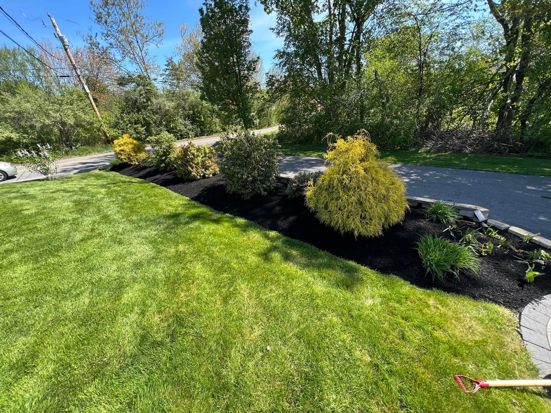 Lawn with trimmed green grass borders a landscaped bed of shrubs and mulch next to a paved driveway.