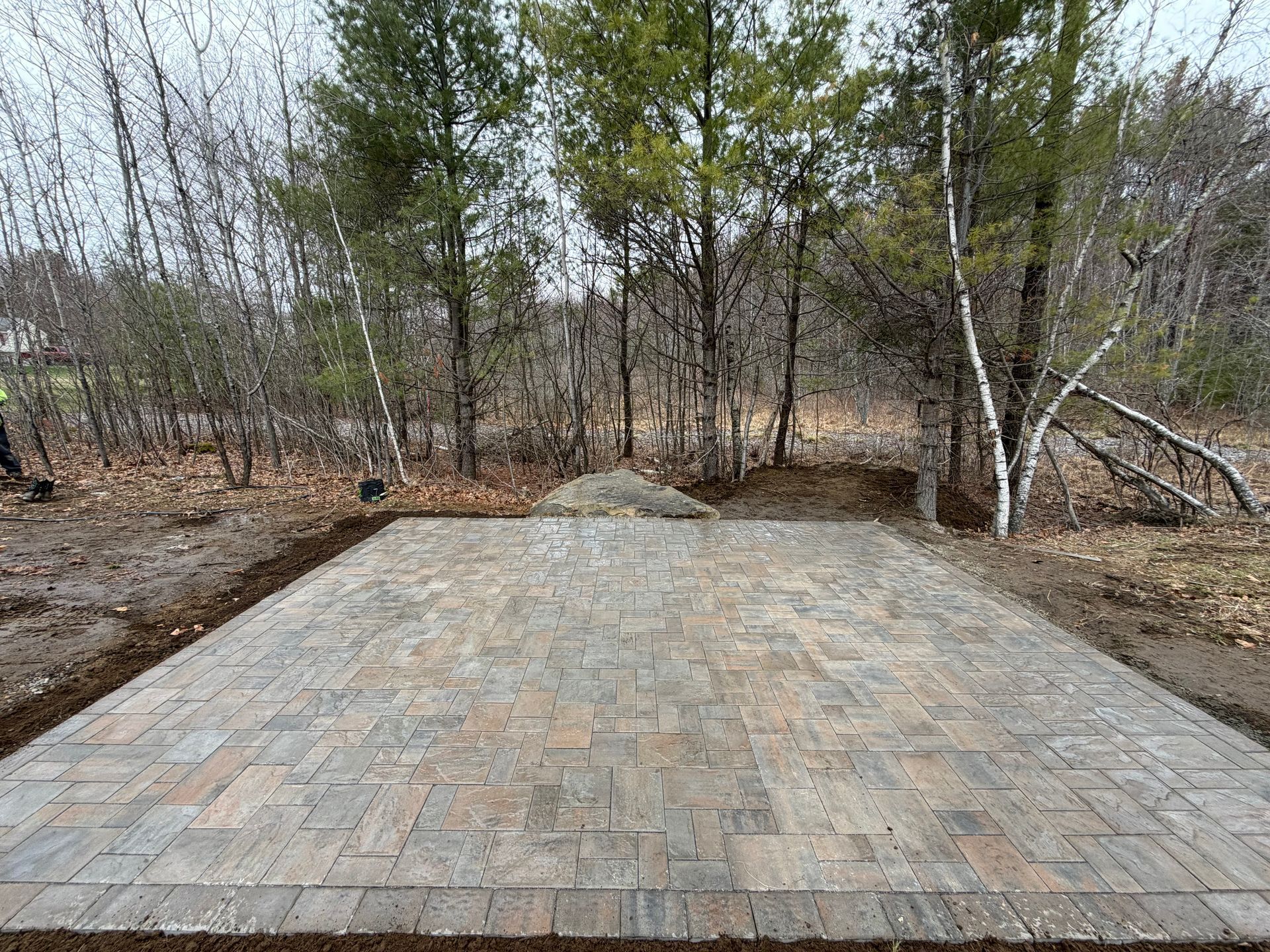 Stone patio in a wooded backyard with trees and bare ground around it. 