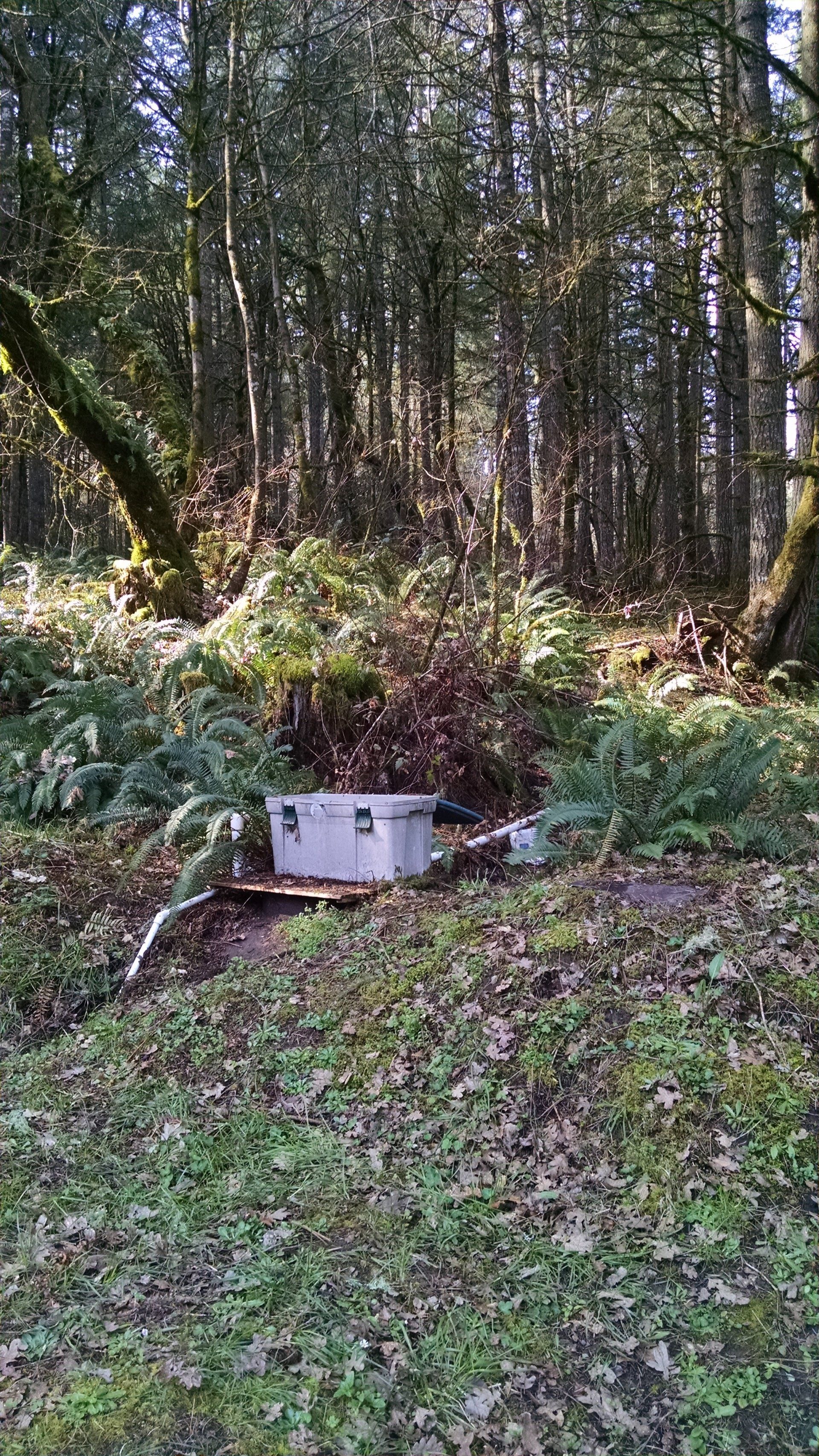 ditch and trenching services