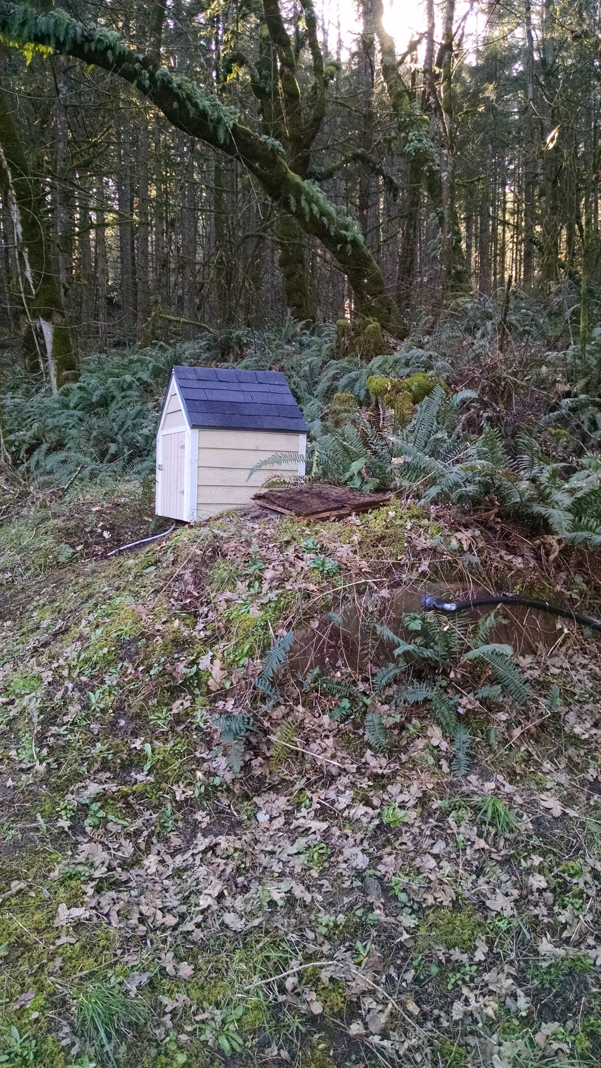 ditch and trenching services