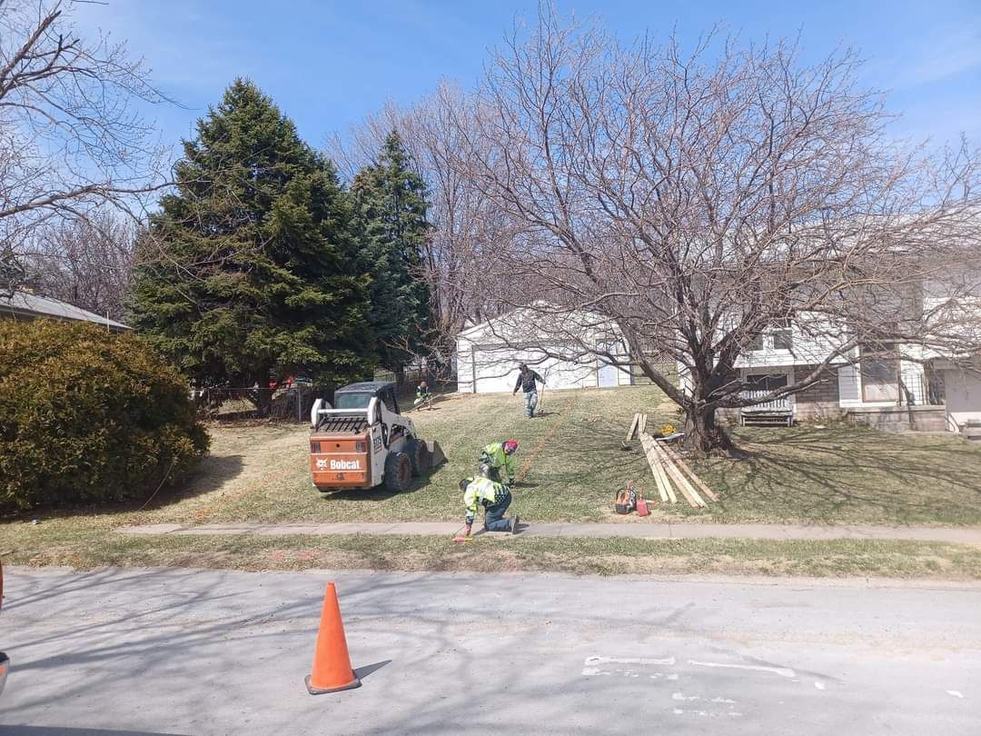 Workers on a grassy hill near a street. A Bobcat, trees, and an orange cone are visible.