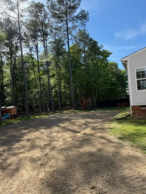 Gravel driveway beside a white house, bordered by tall pine trees under a blue sky.