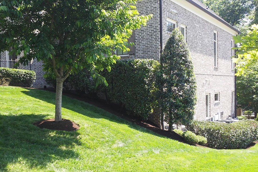 Landscaping Projects