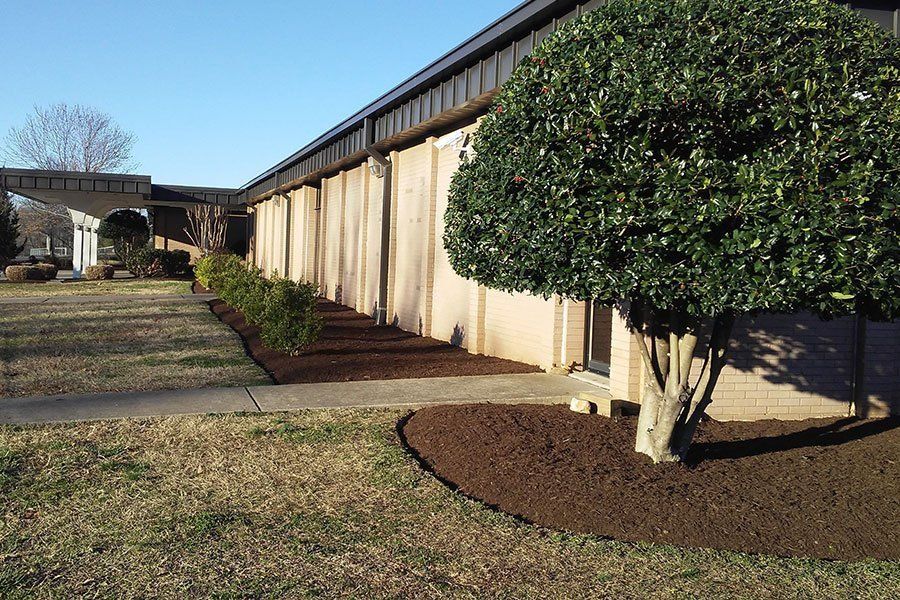 Landscaping Projects