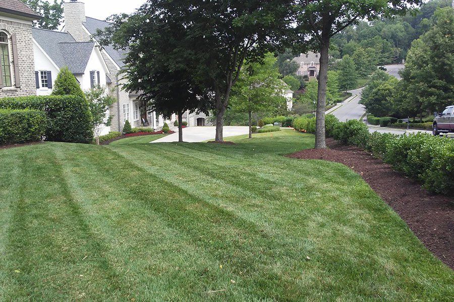 Landscaping Projects