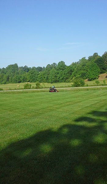 Landscaping Projects