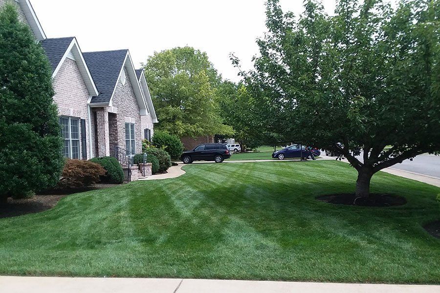 Landscaping Projects