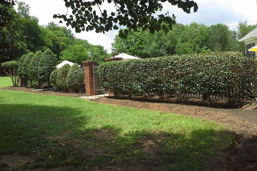 Landscaping Projects