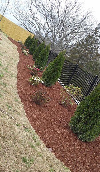 Landscaping Projects