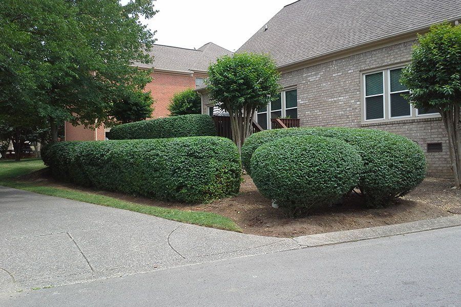 Landscaping Projects