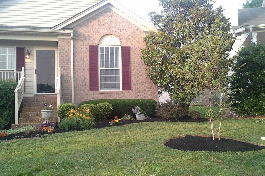 Landscaping Projects