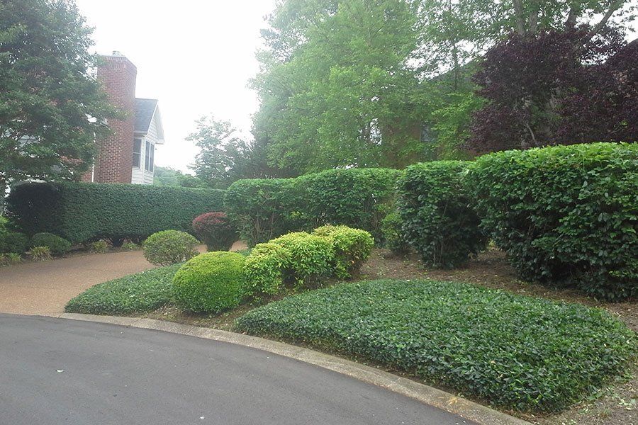 Landscaping Projects