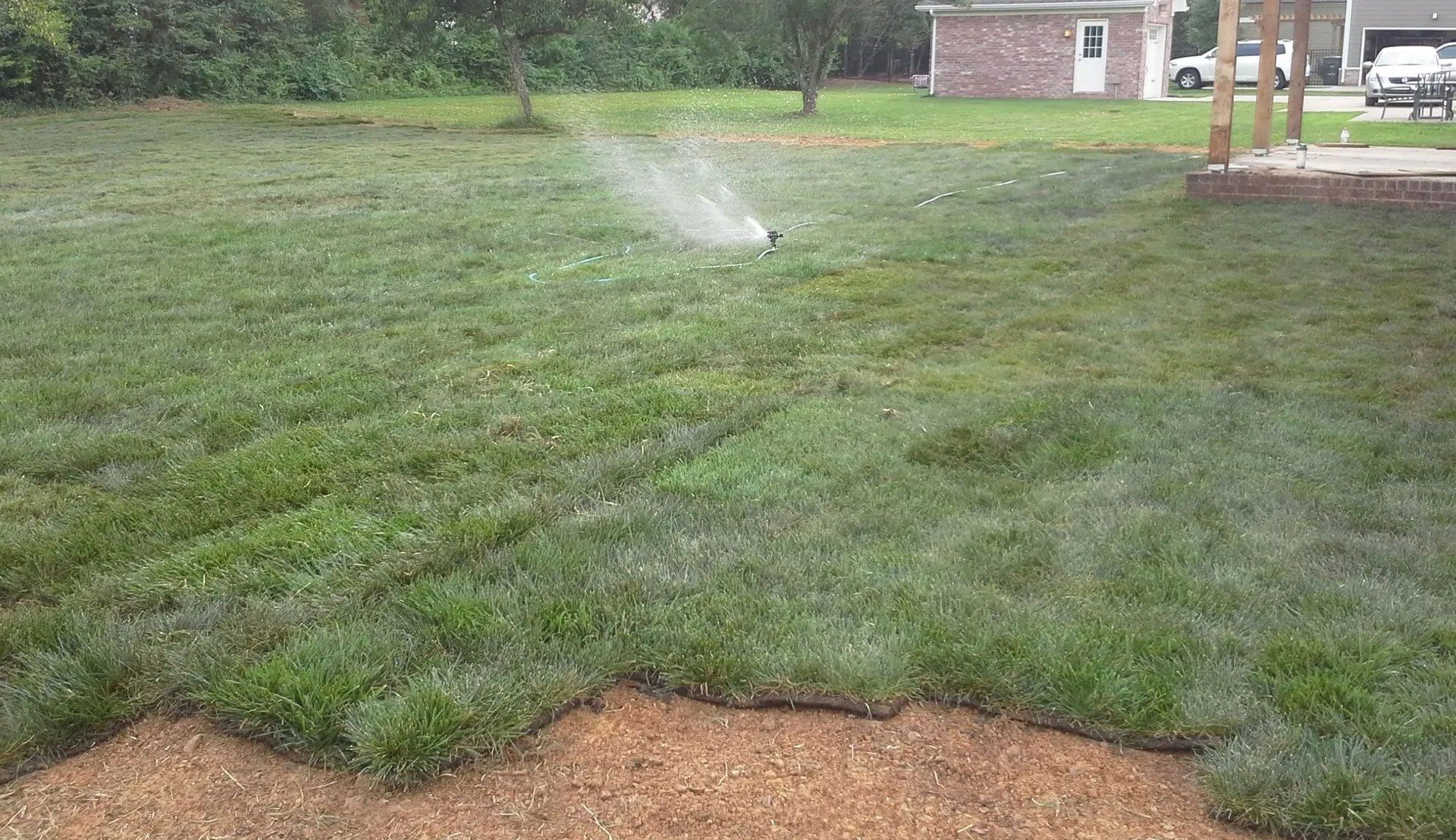 Lawn Renovation