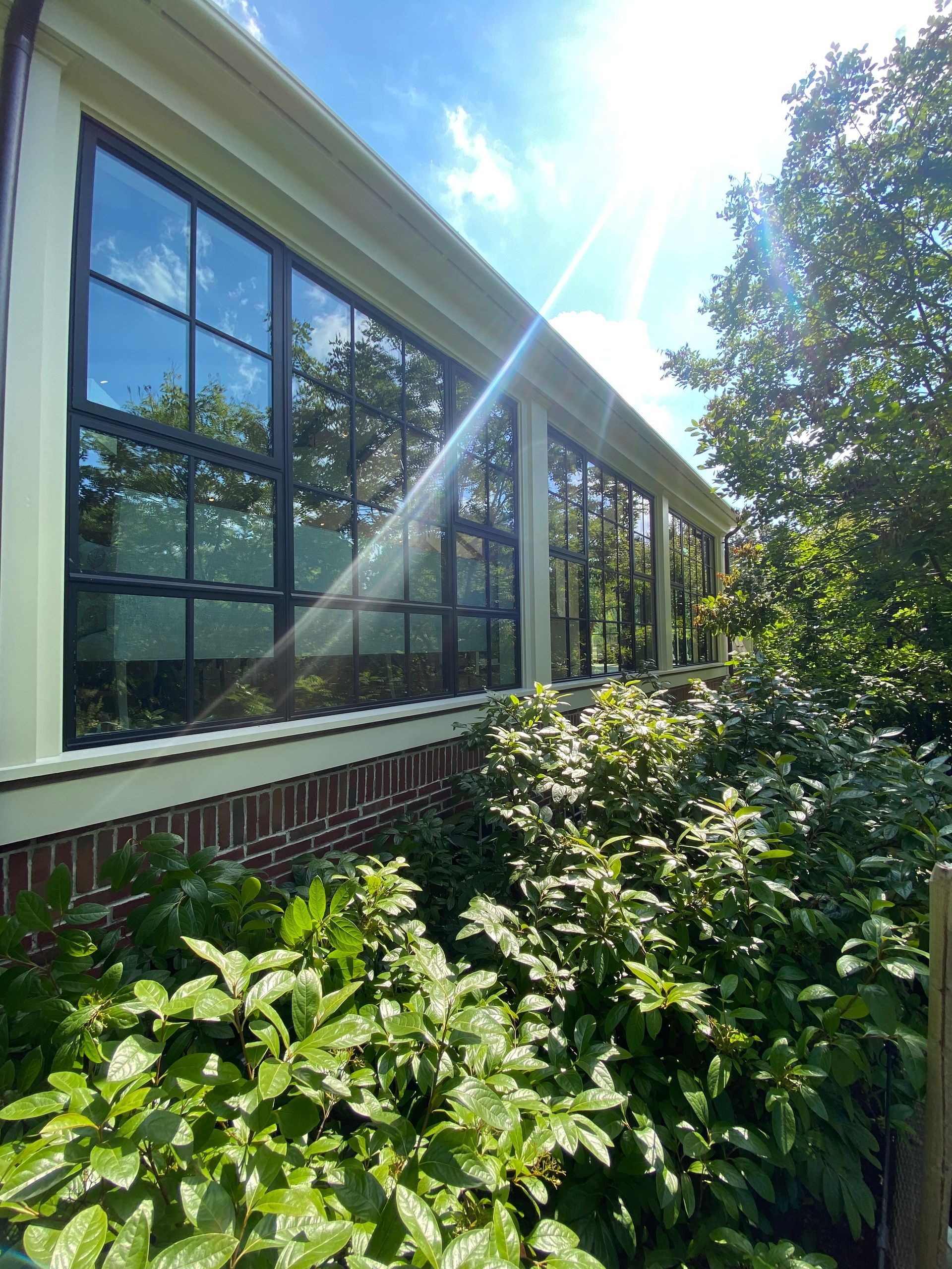 The sun is shining through the windows of a building surrounded by trees.