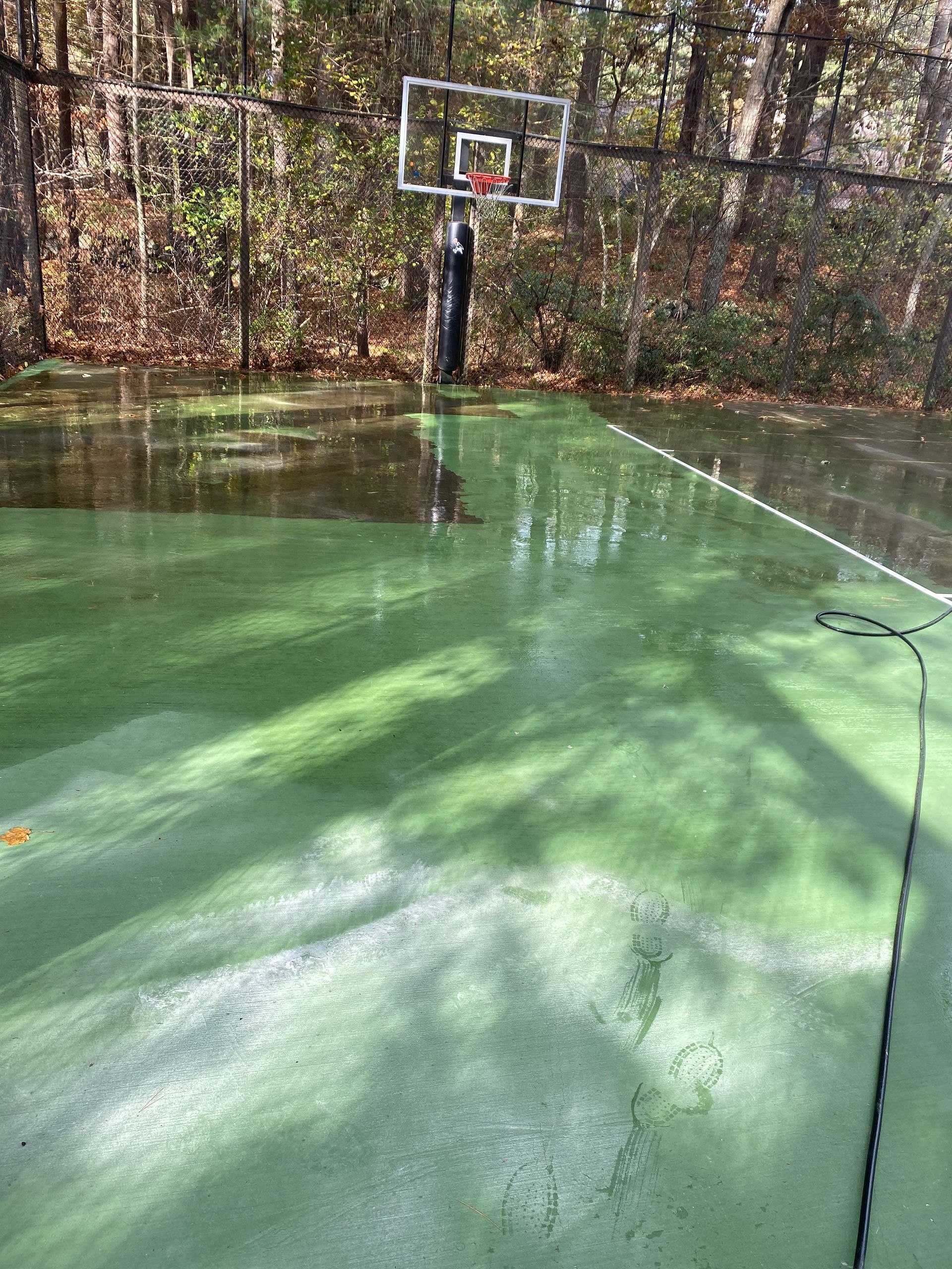 A green basketball court with a basketball hoop in the middle of the woods.