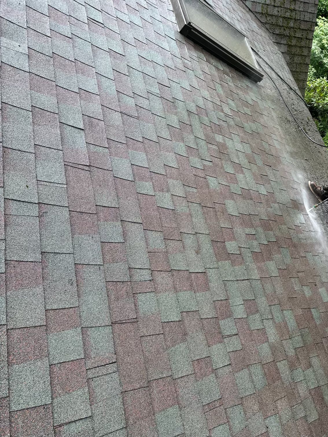 A person is cleaning the roof of a house with a pressure washer.