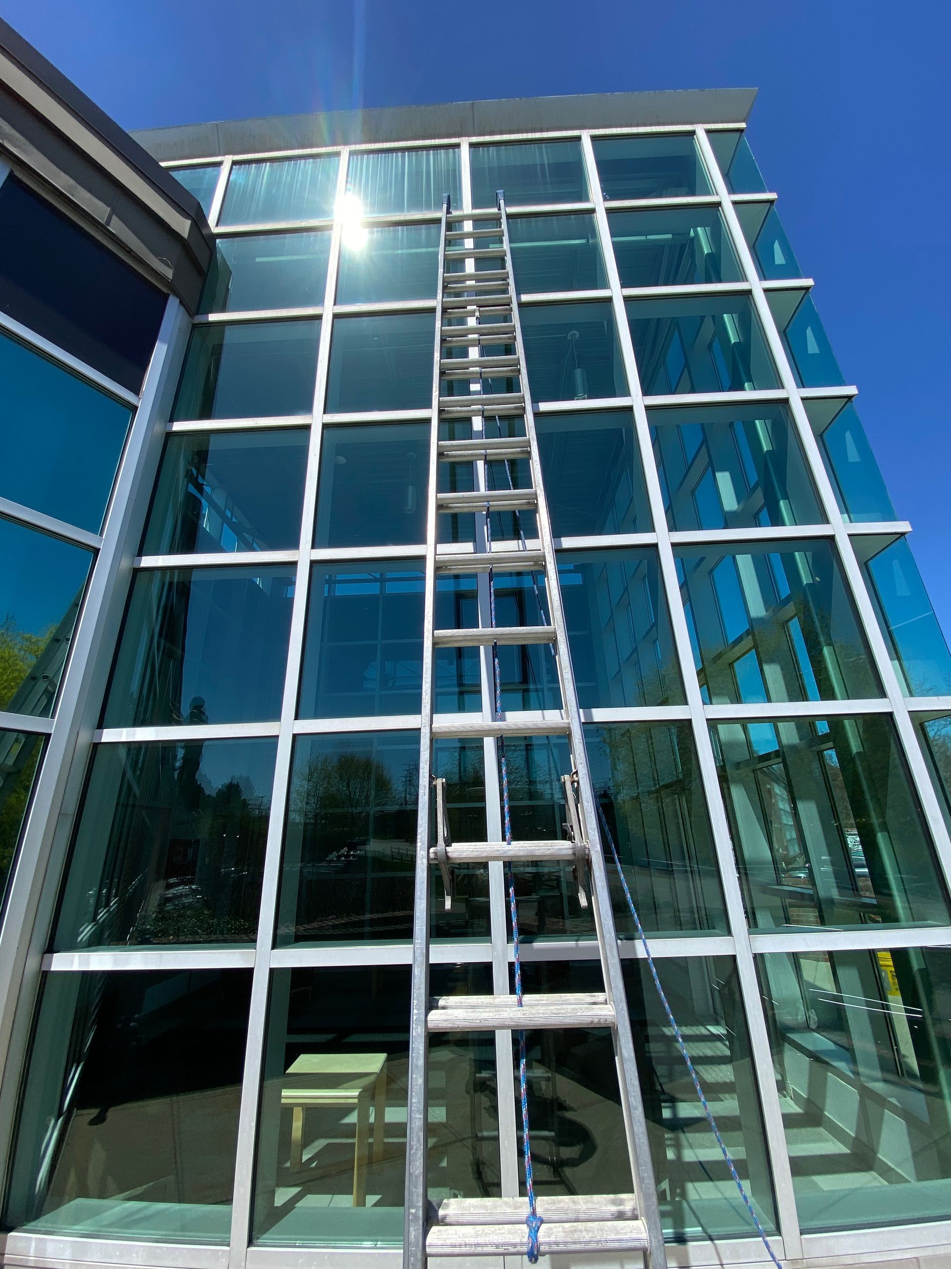A ladder is being used to clean the windows of a building.
