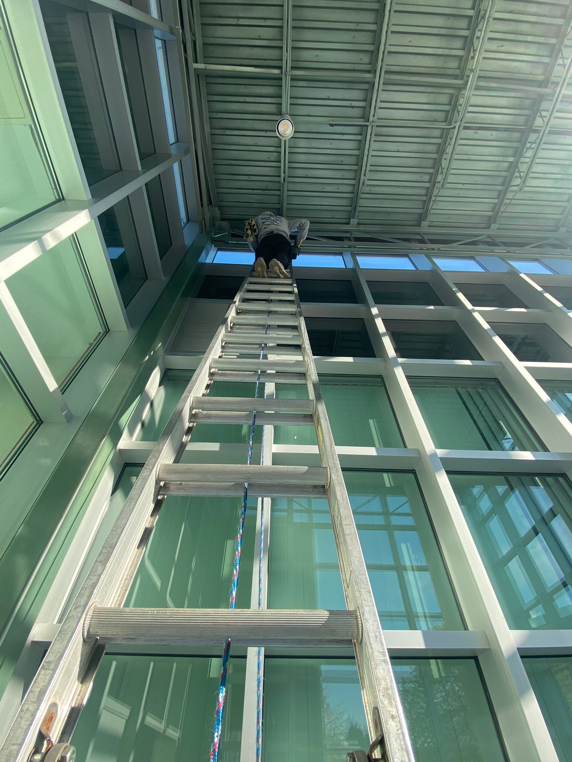 A man is standing on a ladder looking up at a building.
