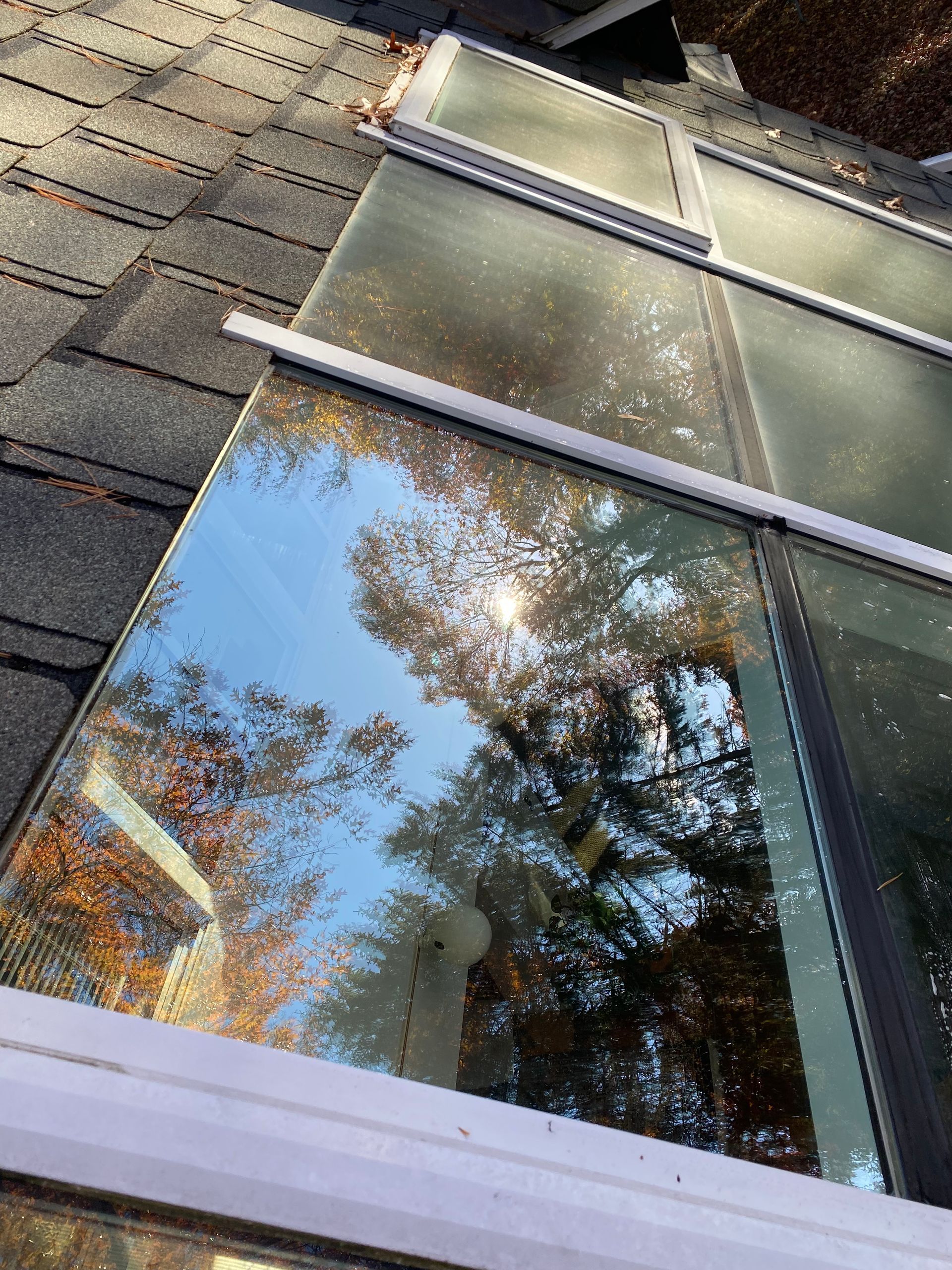 A close up of a window on a roof with trees reflected in it.