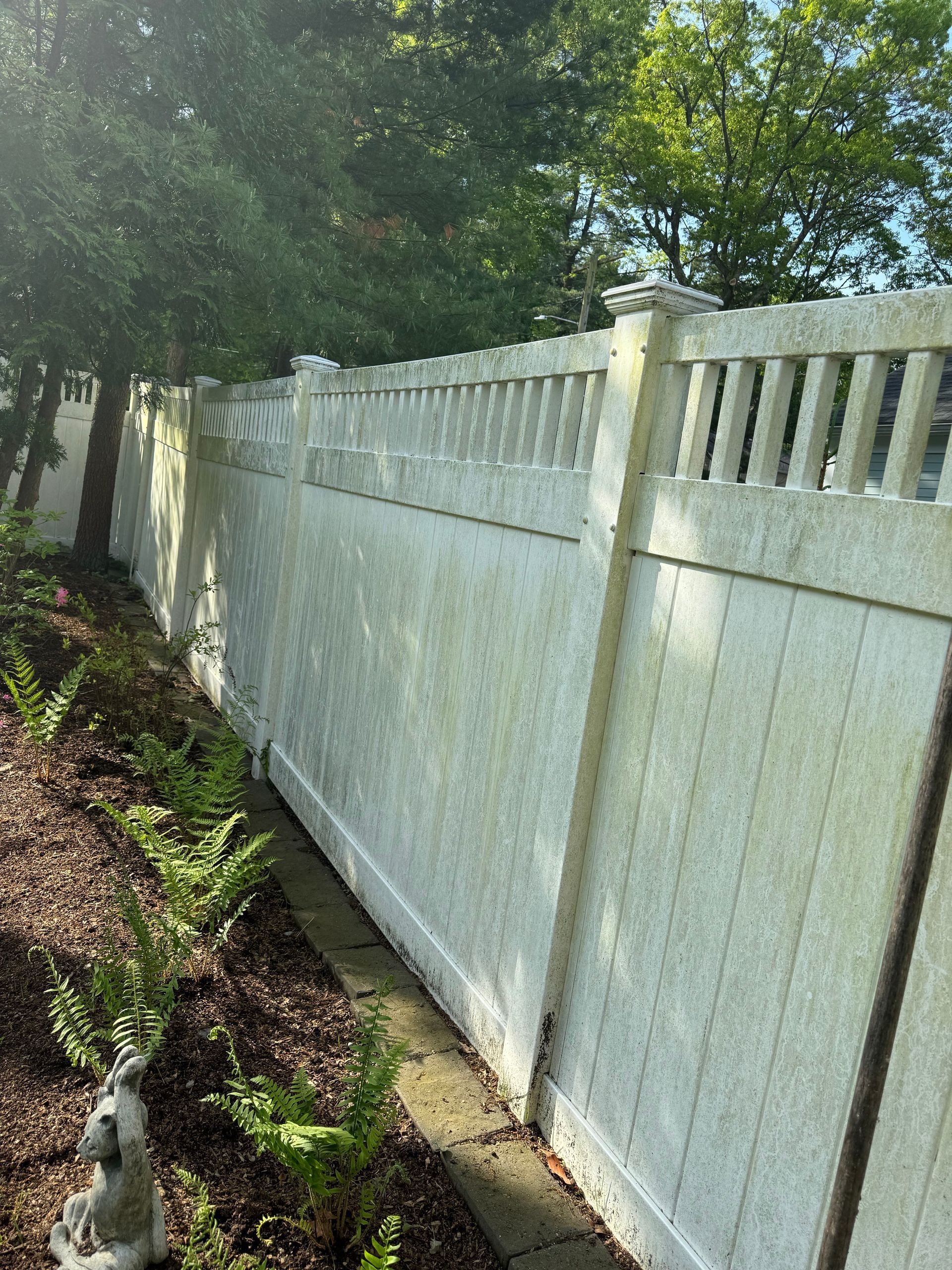 A white fence is surrounded by trees and ferns in a yard.