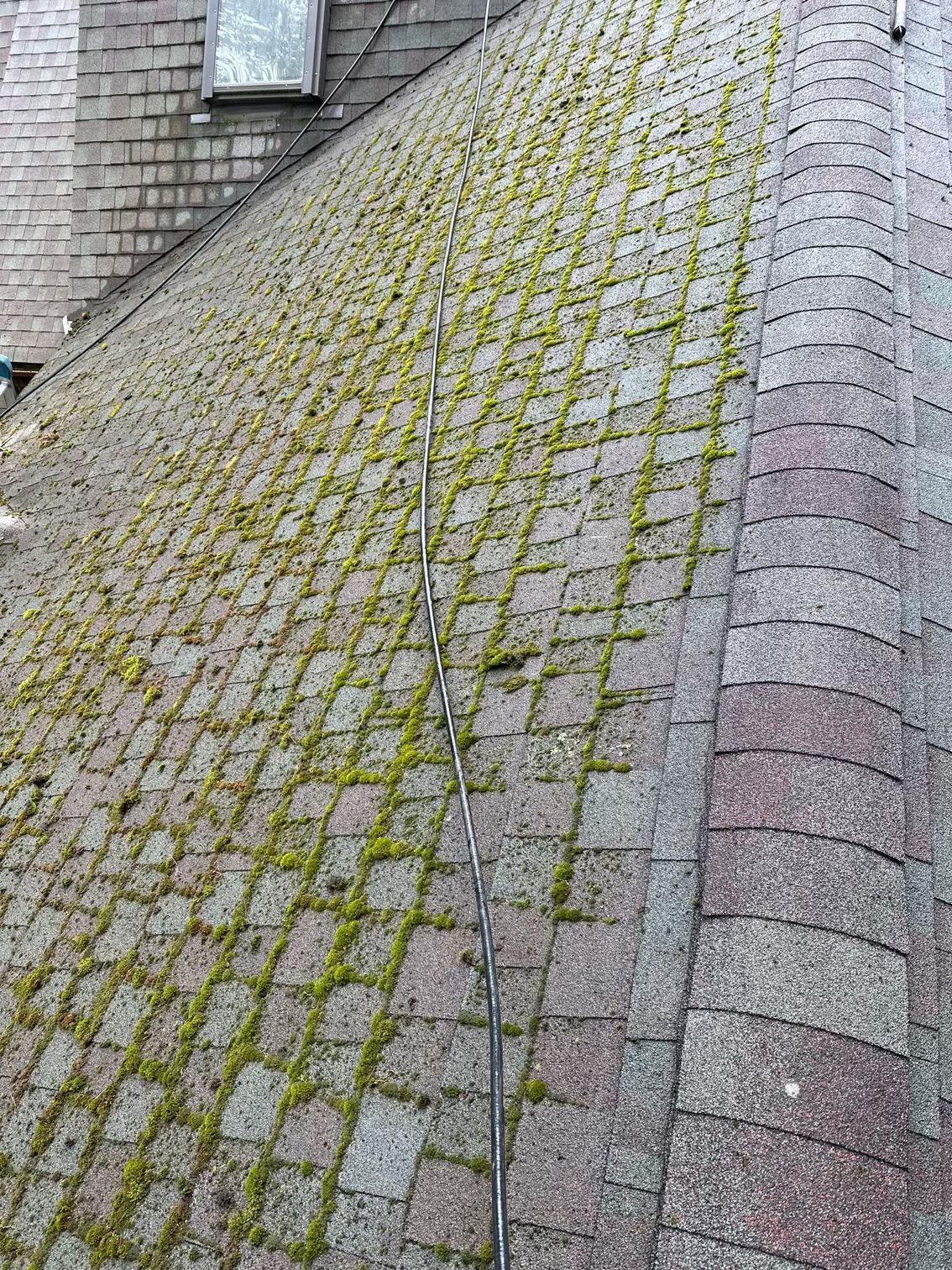A roof with a lot of moss growing on it.
