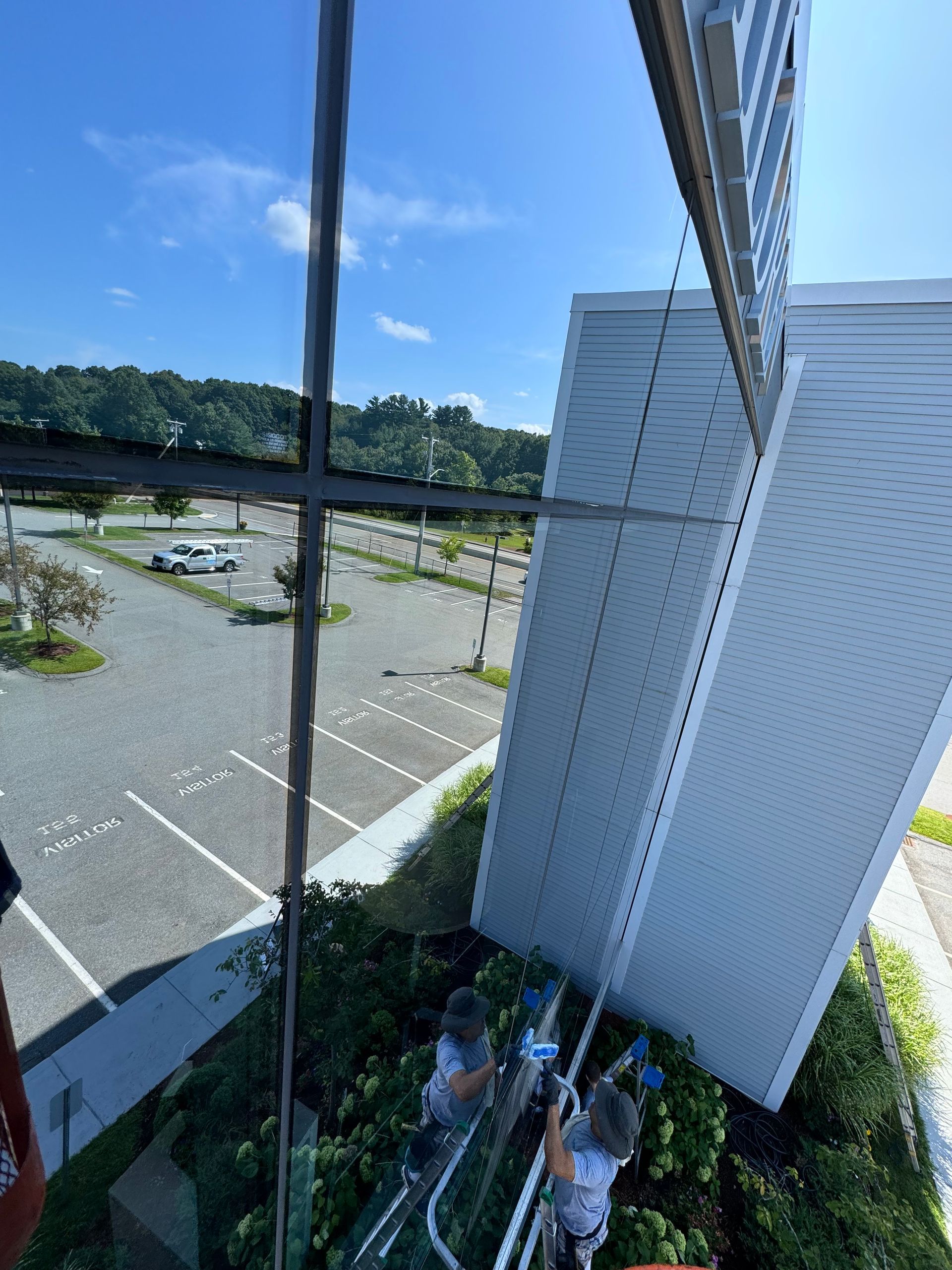 A man is standing on a ladder cleaning a building's windows.