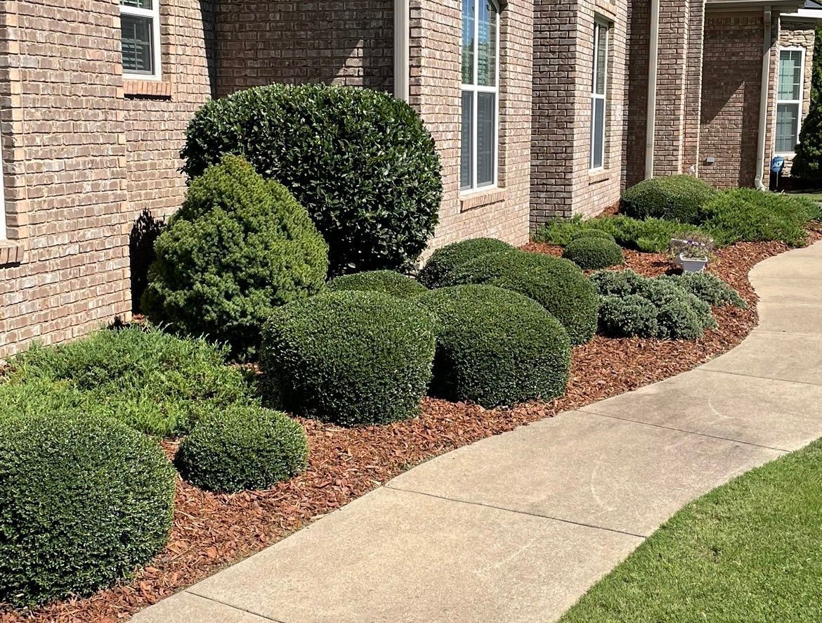 Walkway leading to a brick house with bushes and shrubs in front of it