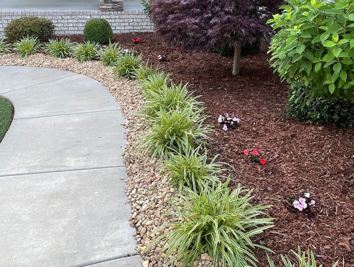 A concrete walkway surrounded by plants and mulch in a garden