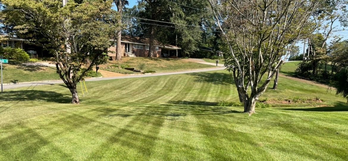 A lush green lawn with trees and a house in the background