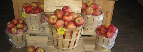 Honey Crisp Apples - Basket of 6 - Walnut Creek Farm