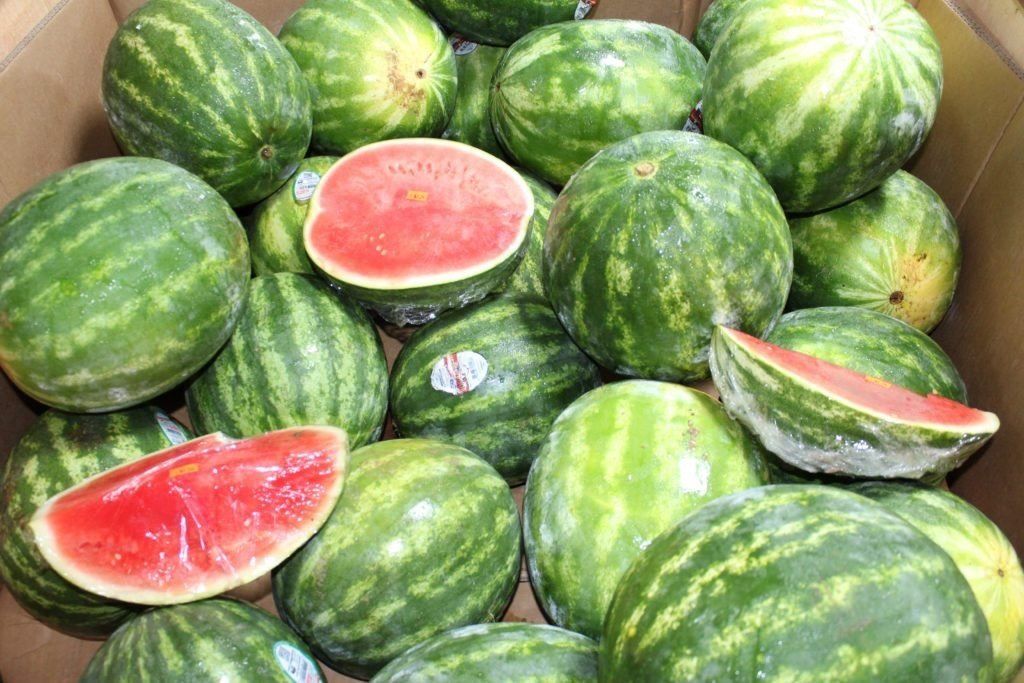 watermelon