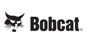 Bobcat
