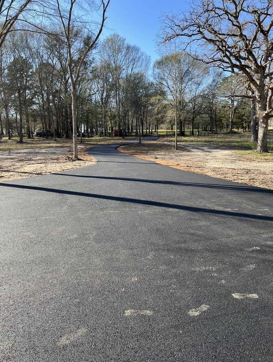 A newly paved asphalt path winds through a sunny, wooded area with bare trees and sandy ground.