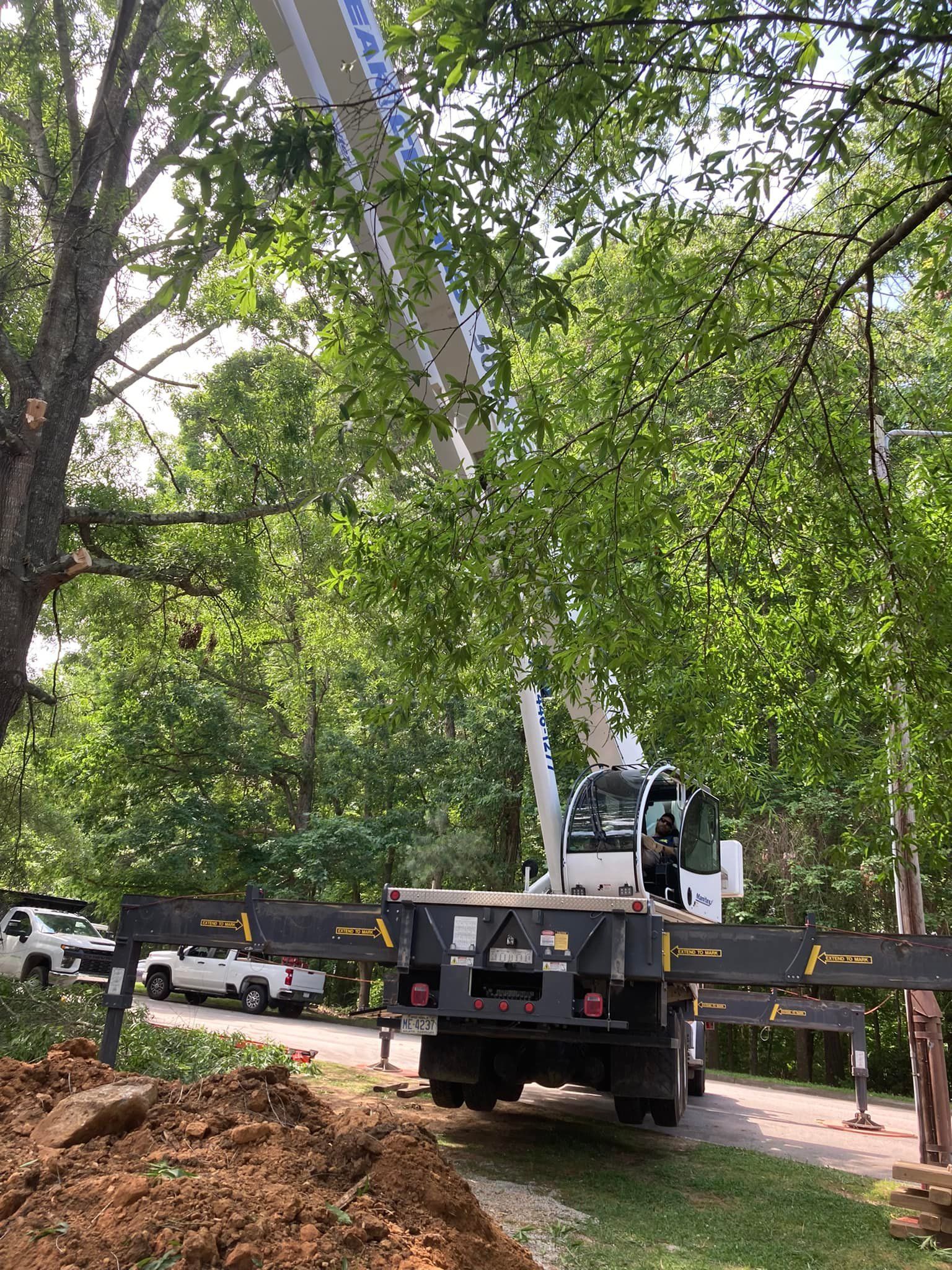 A crane is sitting on the back of a truck next to a tree.