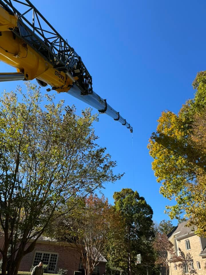A large yellow crane is lifting a tree in front of a house.