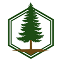 Green pine tree inside a double-outlined hexagon logo