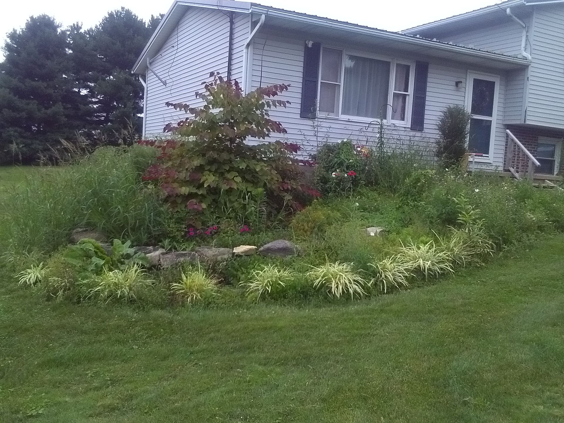 A white house with black shutters and a sloped garden bed in front, surrounded by greenery.