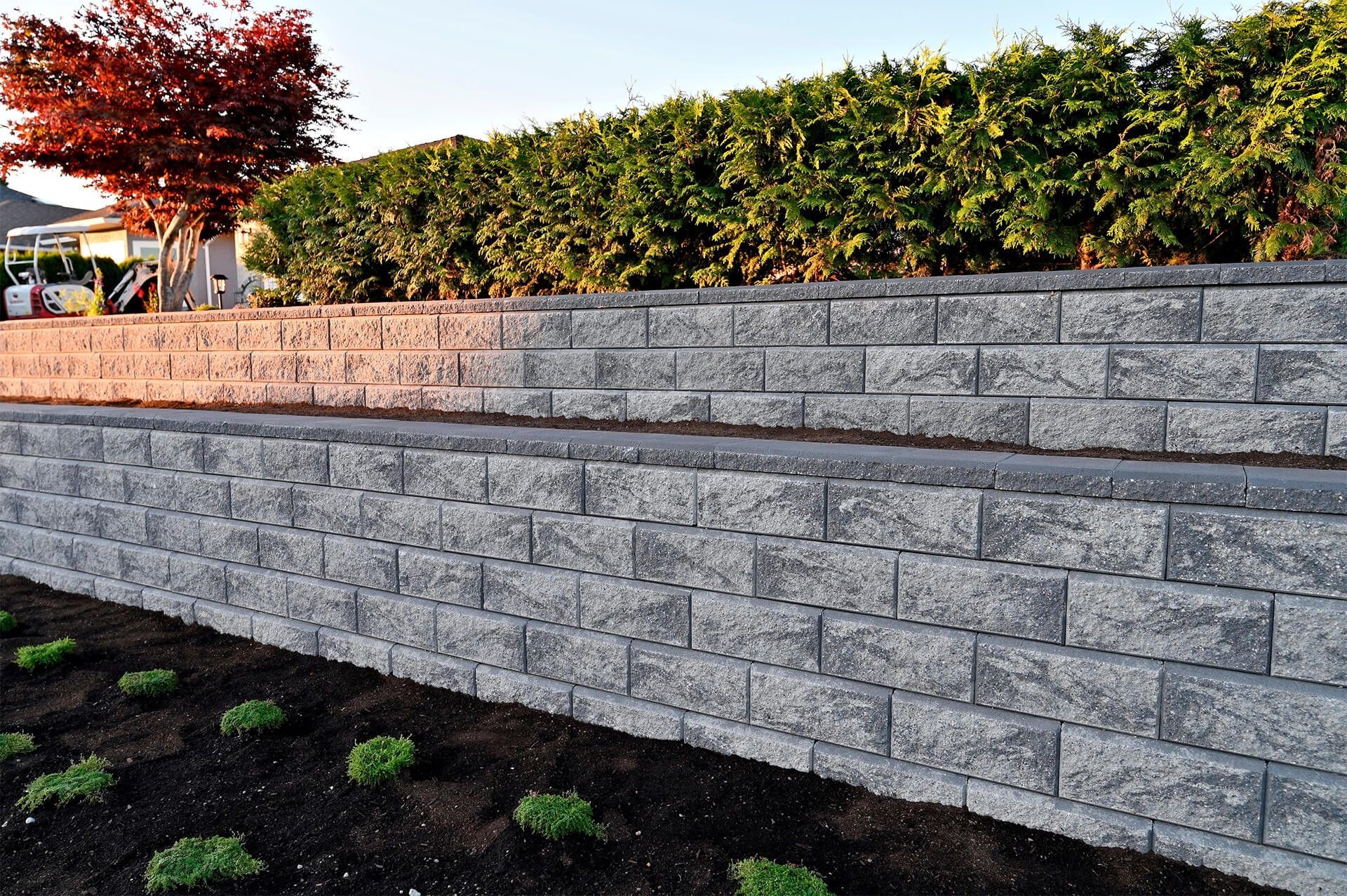 Stone retaining wall with hedges above and a red-leafed tree at sunset; dark mulch and small plants below